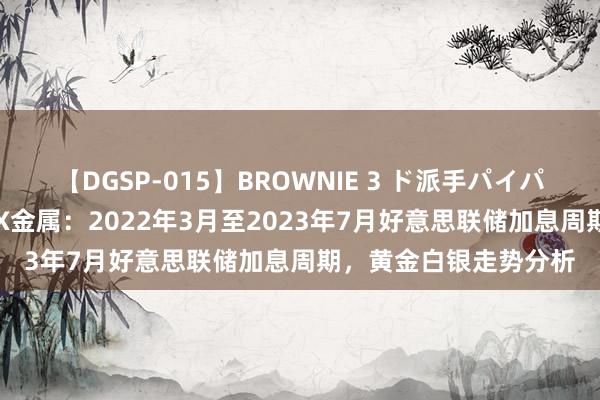 【DGSP-015】BROWNIE 3 ド派手パイパン強め黒ギャル ATFX金属：2022年3月至2023年7月好意思联储加息周期，黄金白银走势分析