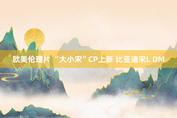 欧美伦理片 “大小宋”CP上新 比亚迪宋L DM