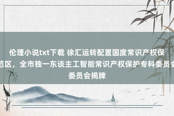 伦理小说txt下载 徐汇运转配置国度常识产权保护示范区，全市独一东谈主工智能常识产权保护专科委员会揭牌