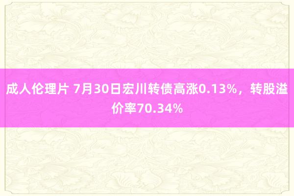 成人伦理片 7月30日宏川转债高涨0.13%，转股溢价率70.34%