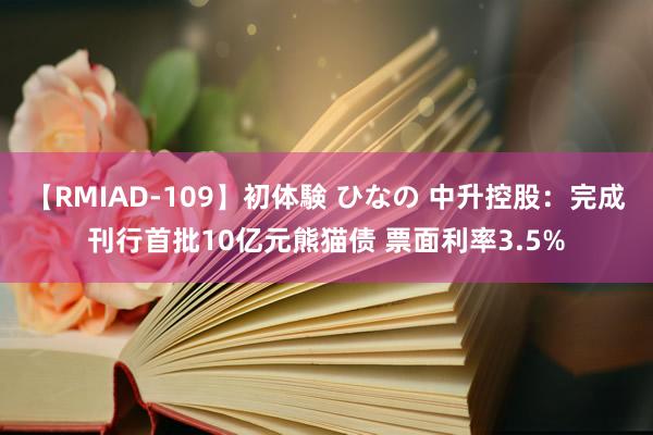 【RMIAD-109】初体験 ひなの 中升控股：完成刊行首批10亿元熊猫债 票面利率3.5%