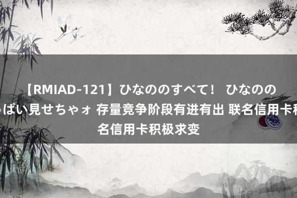 【RMIAD-121】ひなののすべて！ ひなののHをいっぱい見せちゃォ 存量竞争阶段有进有出 联名信用卡积极求变