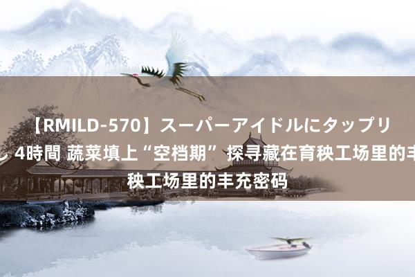 【RMILD-570】スーパーアイドルにタップリ生中出し 4時間 蔬菜填上“空档期” 探寻藏在育秧工场里的丰充密码