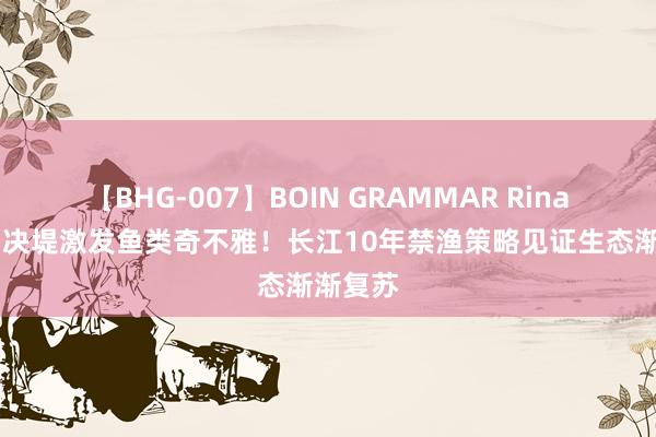 【BHG-007】BOIN GRAMMAR Rina 洞庭湖决堤激发鱼类奇不雅！长江10年禁渔策略见证生态渐渐复苏