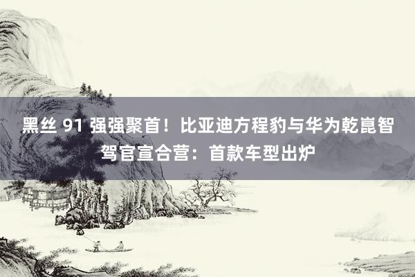 黑丝 91 强强聚首！比亚迪方程豹与华为乾崑智驾官宣合营：首款车型出炉