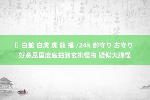 ✨白蛇 白虎 虎 龍 福 /24k 御守り お守り 好意思国度庭拍到玄机怪物 疑似大脚怪