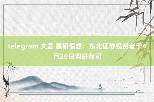 telegram 文爱 建研假想：东北证券投资者于4月26日调研我司